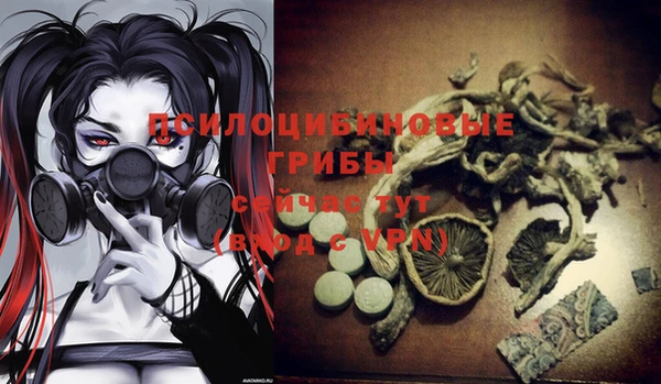 дурь Вяземский