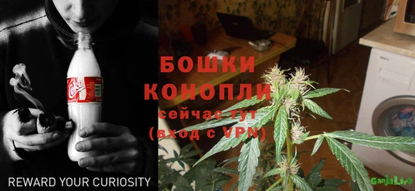 дурь Вяземский