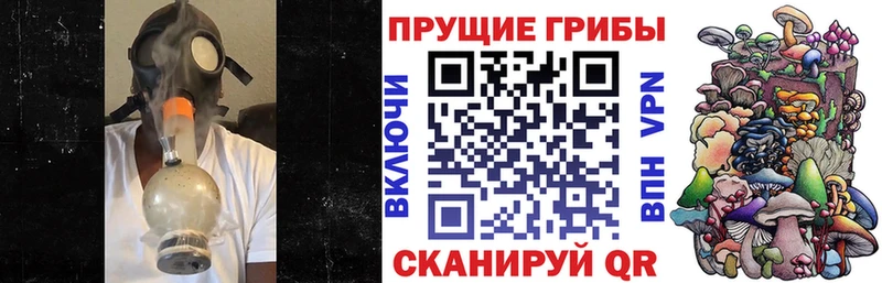 Купить закладки  Липки  Псилоцибиновые грибы Cubensis 